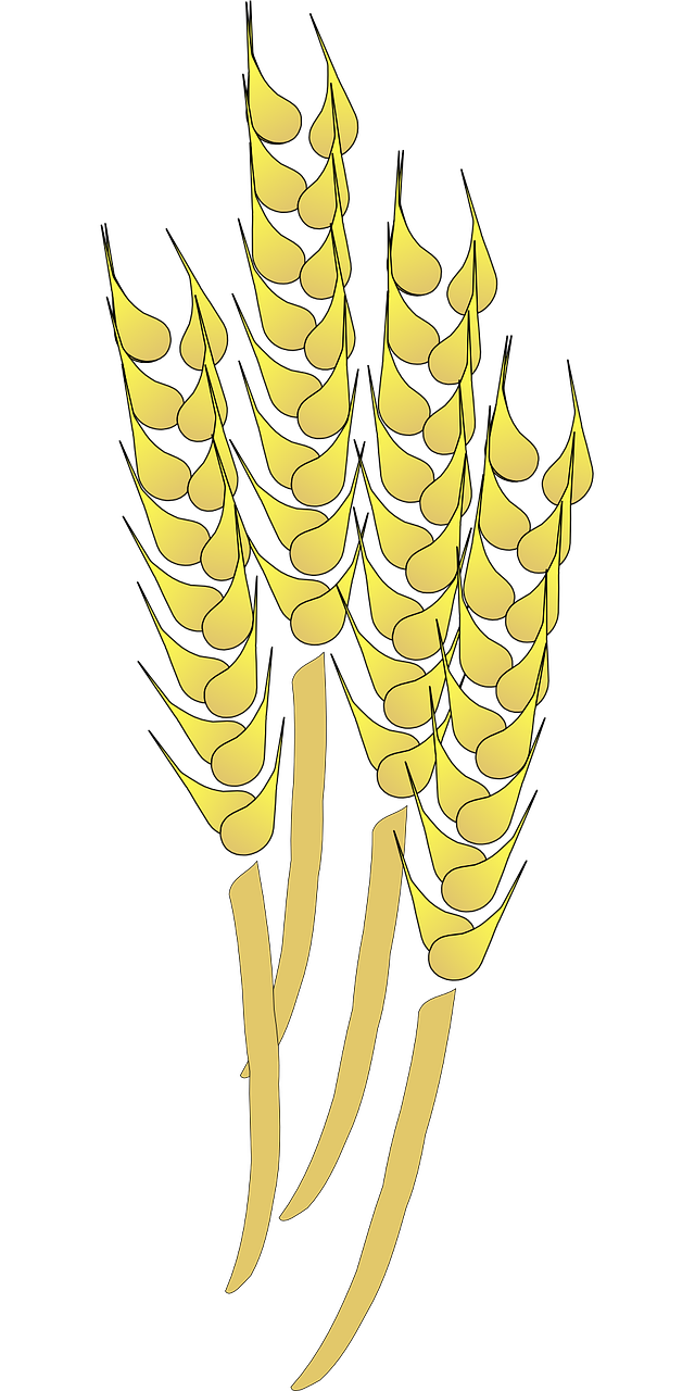 wheat g07b228b5c 1280